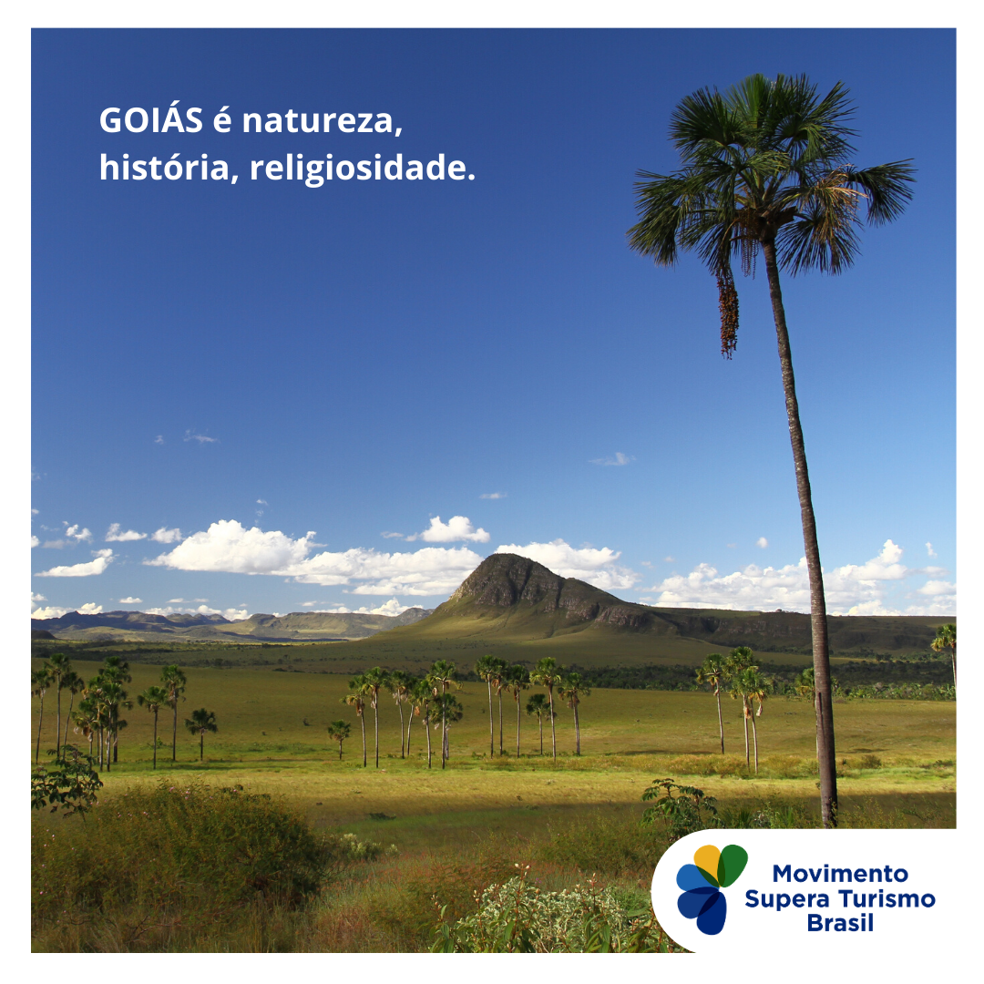 Campanha GO 1 (3).png